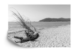 Fototapeta Plaża Morze Piasek Flizelina 208x146 FT-388-VEXL