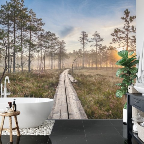 Fototapeta Drewniana Ścieżka W Lesie Flizelina 208x146 FT-4051-VEXL