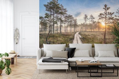 Fototapeta Drewniana Ścieżka W Lesie Flizelina 208x146 FT-4051-VEXL