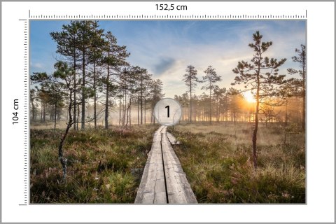 Fototapeta Drewniana Ścieżka W Lesie Vinyl Gładki 152.5x104 FT-4051-VGL