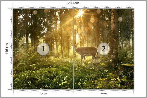 Fototapeta Jeleń O Poranku W Lesie Flizelina 208x146 FT-4074-VEXL