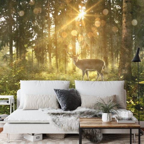 Fototapeta Jeleń O Poranku W Lesie Vinyl Gładki 152.5x104 FT-4074-VGL