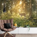 Fototapeta Jeleń O Poranku W Lesie Vinyl Gładki 152.5x104 FT-4074-VGL