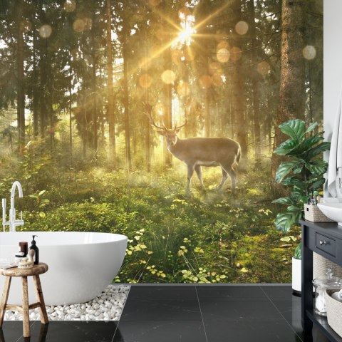 Fototapeta Jeleń O Poranku W Lesie Vinyl Gładki 152.5x104 FT-4074-VGL
