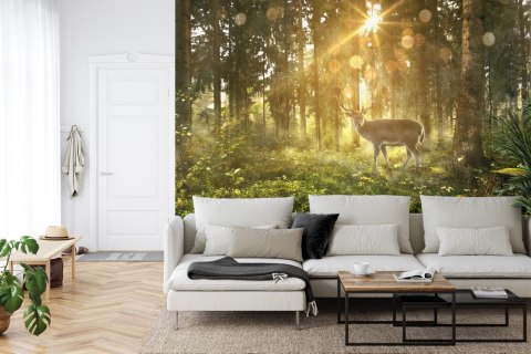 Fototapeta Jeleń O Poranku W Lesie Vinyl Gładki 152.5x104 FT-4074-VGL