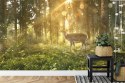 Fototapeta Jeleń O Poranku W Lesie Vinyl Gładki 152.5x104 FT-4074-VGL