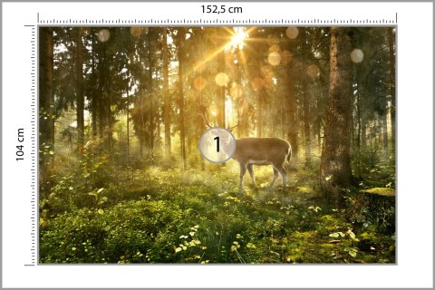 Fototapeta Jeleń O Poranku W Lesie Vinyl Gładki 152.5x104 FT-4074-VGL
