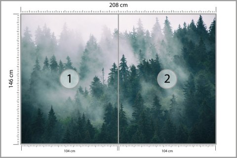 Fototapeta Las We Mgle Flizelina 208x146 FT-19-VEXL