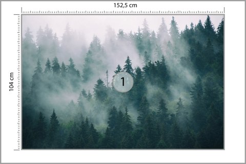 Fototapeta Las We Mgle Vinyl Gładki 152.5x104 FT-19-VGL