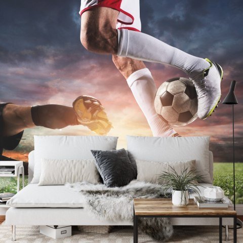 Fototapeta Piłkarze Podczas Meczu Flizelina 208x146 FT-1007-VEXL