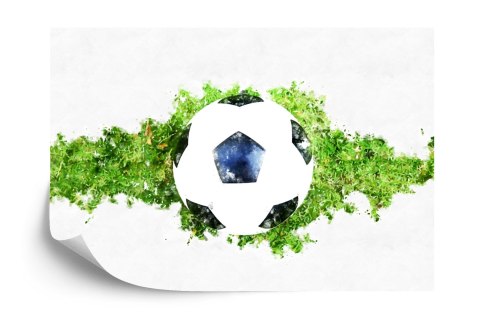 Fototapeta 3D Piłka Nożna, Sport Vinyl Gładki 152.5x104 FT-1787-VGL