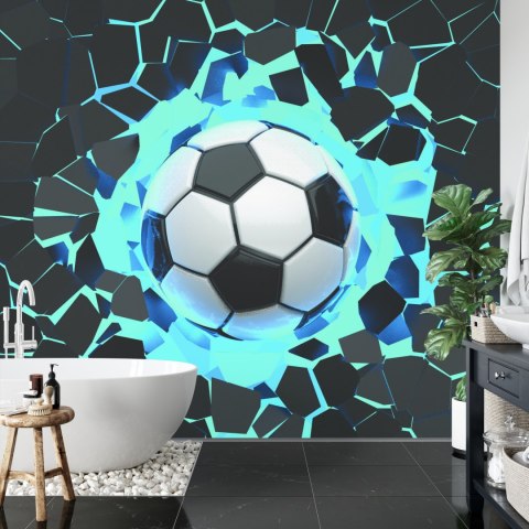 Fototapeta 3D Sport, Piłka Nożna Flizelina 208x146 FT-1751-VEXL