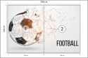 Fototapeta Abstrakcyjna Piłka Nożna Flizelina 208x146 FT-3359-VEXL