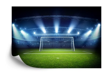 Fototapeta Bramka Na Stadionie Flizelina 208x146 FT-3358-VEXL