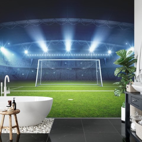 Fototapeta Bramka Na Stadionie Flizelina 208x146 FT-3358-VEXL