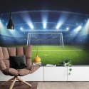 Fototapeta Bramka Na Stadionie Vinyl Gładki 152.5x104 FT-3358-VGL
