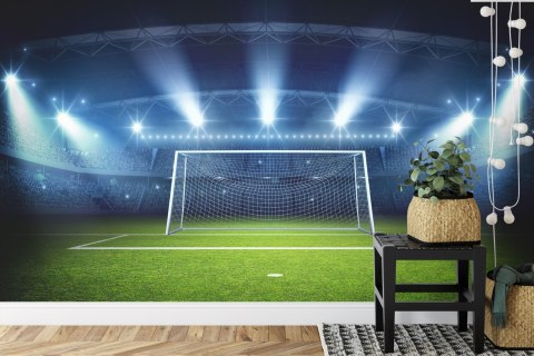 Fototapeta Bramka Na Stadionie Vinyl Gładki 152.5x104 FT-3358-VGL