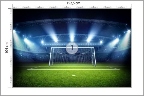Fototapeta Bramka Na Stadionie Vinyl Gładki 152.5x104 FT-3358-VGL