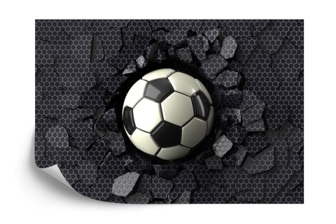 Fototapeta Dla Chłopca Sport Piłka Flizelina 208x146 FT-1926-VEXL