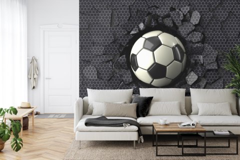 Fototapeta Dla Chłopca Sport Piłka Flizelina 208x146 FT-1926-VEXL