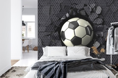 Fototapeta Dla Chłopca Sport Piłka Flizelina 208x146 FT-1926-VEXL