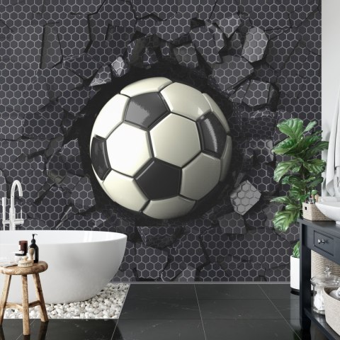 Fototapeta Dla Chłopca Sport Piłka Vinyl Gładki 152.5x104 FT-1926-VGL