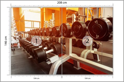 Fototapeta Hantle Na Siłowni Flizelina 208x146 FT-3953-VEXL