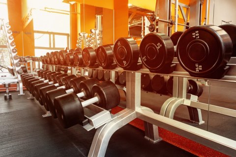 Fototapeta Hantle Na Siłowni Vinyl Gładki 152.5x104 FT-3953-VGL