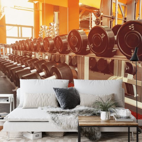 Fototapeta Hantle Na Siłowni Vinyl Gładki 152.5x104 FT-3953-VGL