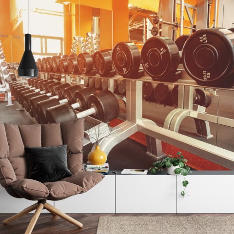 Fototapeta Hantle Na Siłowni Vinyl Gładki 152.5x104 FT-3953-VGL