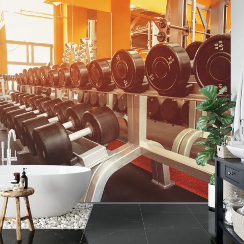 Fototapeta Hantle Na Siłowni Vinyl Gładki 152.5x104 FT-3953-VGL