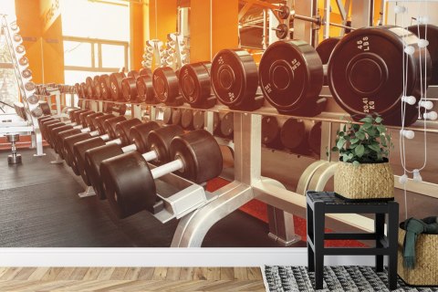 Fototapeta Hantle Na Siłowni Vinyl Gładki 152.5x104 FT-3953-VGL