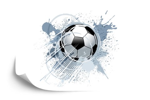 Fototapeta Piłka Nożna Flizelina 208x146 FT-1001-VEXL