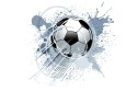 Fototapeta Piłka Nożna Flizelina 208x146 FT-1001-VEXL