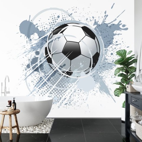 Fototapeta Piłka Nożna Flizelina 208x146 FT-1001-VEXL