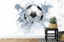Fototapeta Piłka Nożna Flizelina 208x146 FT-1001-VEXL