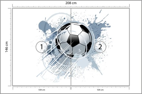 Fototapeta Piłka Nożna Flizelina 208x146 FT-1001-VEXL