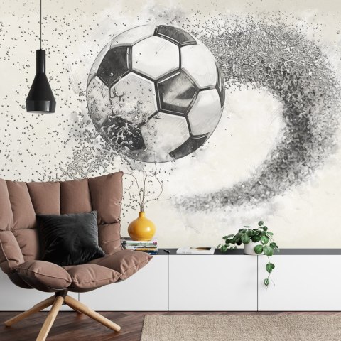 Fototapeta Piłka Nożna Rysowana Ołówkiem Flizelina 208x146 FT-3372-VEXL