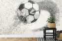 Fototapeta Piłka Nożna Rysowana Ołówkiem Flizelina 208x146 FT-3372-VEXL
