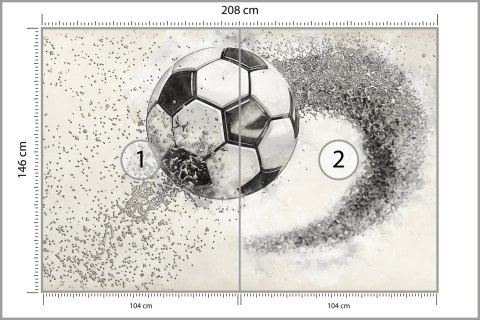 Fototapeta Piłka Nożna Rysowana Ołówkiem Flizelina 208x146 FT-3372-VEXL