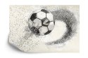 Fototapeta Piłka Nożna Rysowana Ołówkiem Vinyl Gładki 152.5x104 FT-3372-VGL