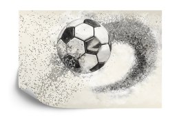 Fototapeta Piłka Nożna Rysowana Ołówkiem Vinyl Gładki 152.5x104 FT-3372-VGL