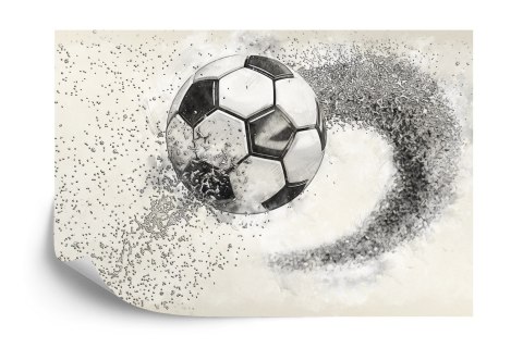 Fototapeta Piłka Nożna Rysowana Ołówkiem Vinyl Gładki 152.5x104 FT-3372-VGL