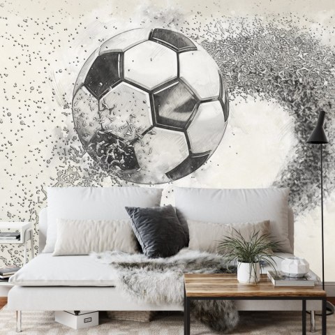 Fototapeta Piłka Nożna Rysowana Ołówkiem Vinyl Gładki 152.5x104 FT-3372-VGL