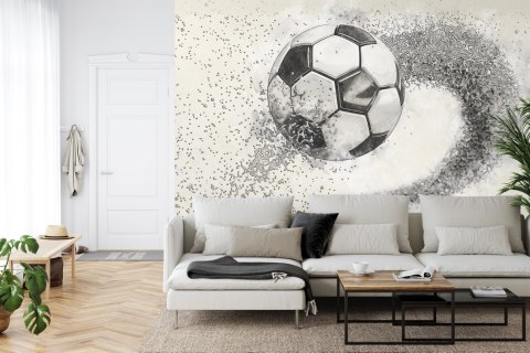 Fototapeta Piłka Nożna Rysowana Ołówkiem Vinyl Gładki 152.5x104 FT-3372-VGL