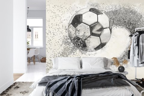 Fototapeta Piłka Nożna Rysowana Ołówkiem Vinyl Gładki 152.5x104 FT-3372-VGL