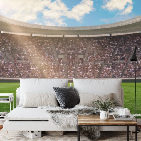 Fototapeta Piłka Nożna Stadion Flizelina 208x146 FT-1015-VEXL