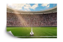 Fototapeta Piłka Nożna Stadion Vinyl Gładki 152.5x104 FT-1015-VGL