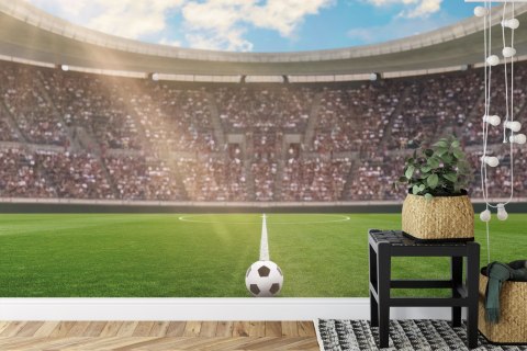 Fototapeta Piłka Nożna Stadion Vinyl Gładki 152.5x104 FT-1015-VGL