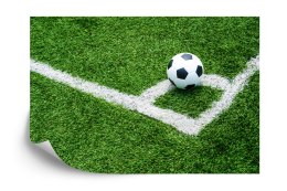 Fototapeta Piłka W Narożniku Flizelina 208x146 FT-3368-VEXL